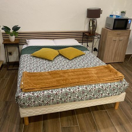 Studio 25M2 En Plein Coeur De Perpignan Exteriör bild