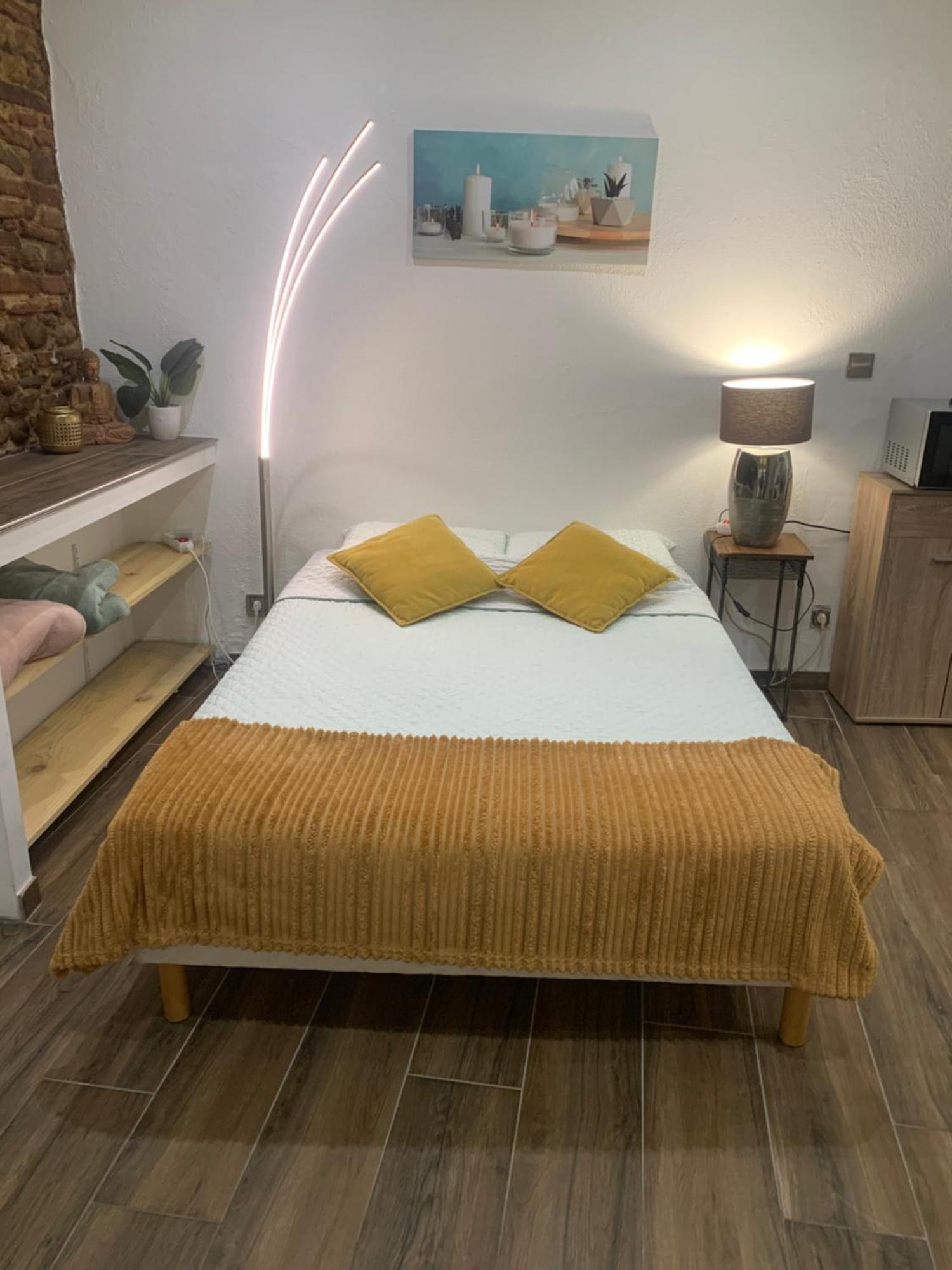 Studio 25M2 En Plein Coeur De Perpignan Exteriör bild